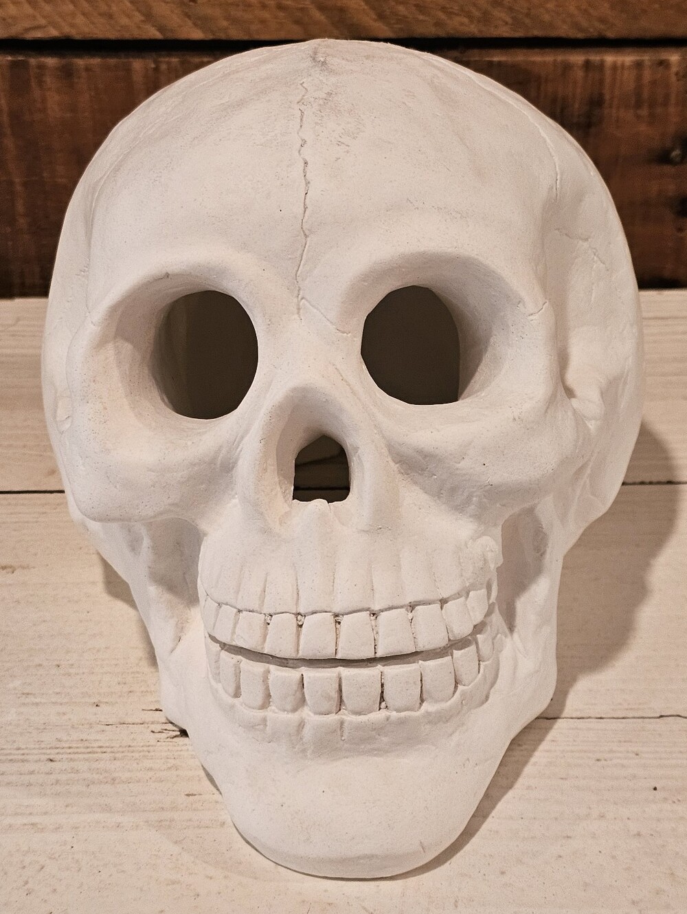 Large White Plaster Skull Halloween Decor